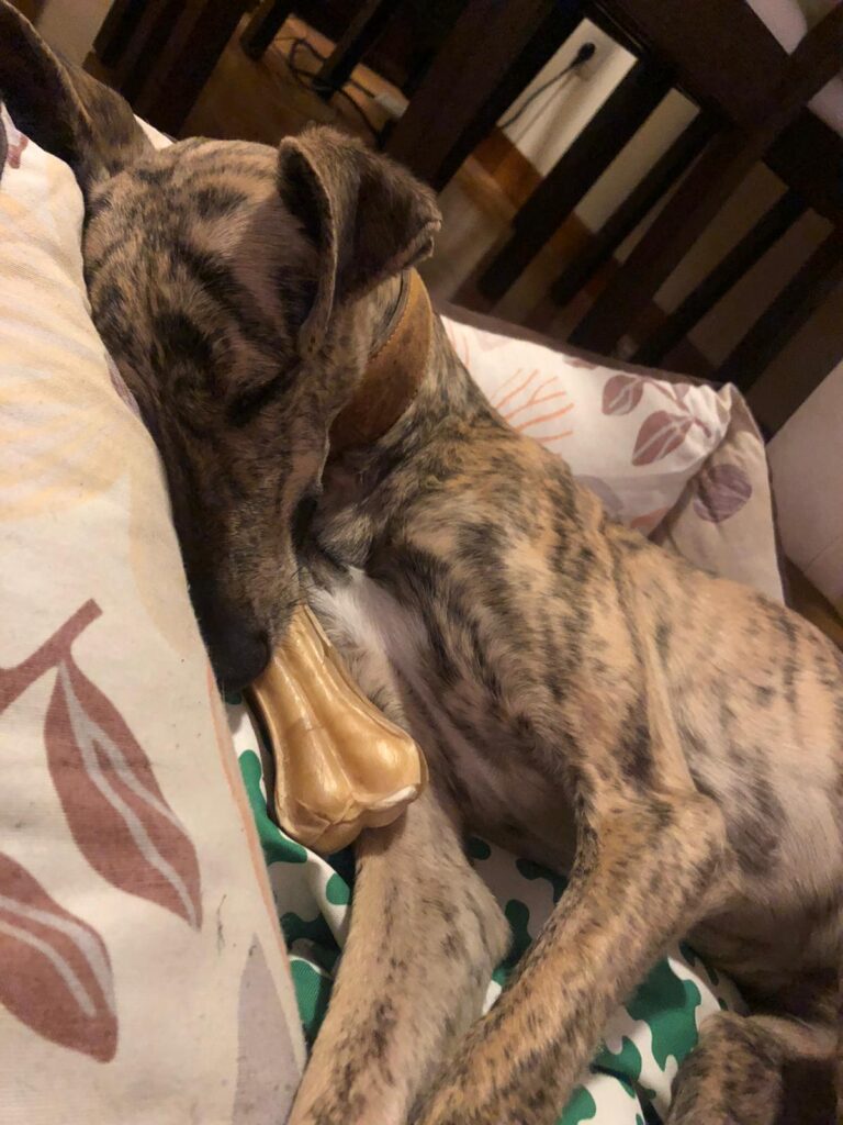 multimedia-foto67641-256-1