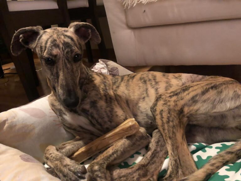 multimedia-foto67642-257-1