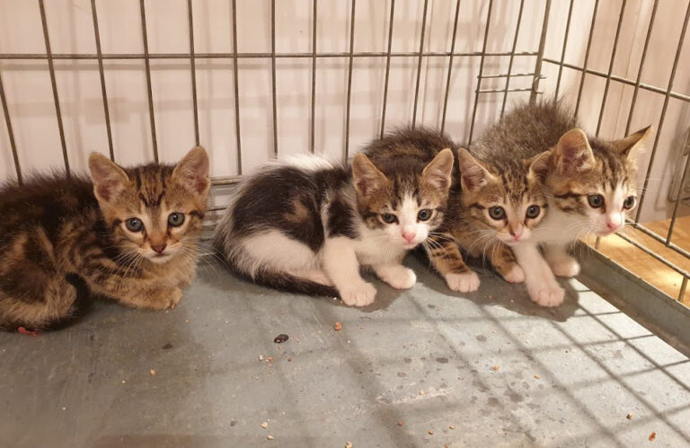 multimedia-foto67703-744-1