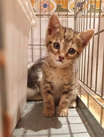 multimedia-foto67711-90-1