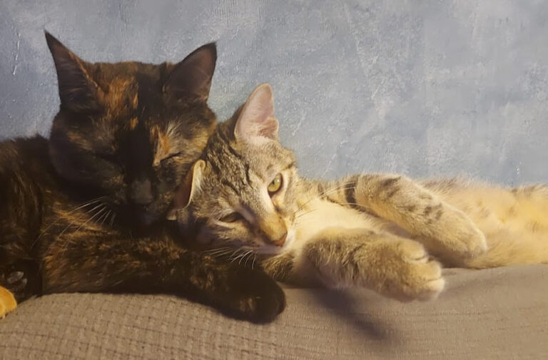 multimedia-foto67716-92-1