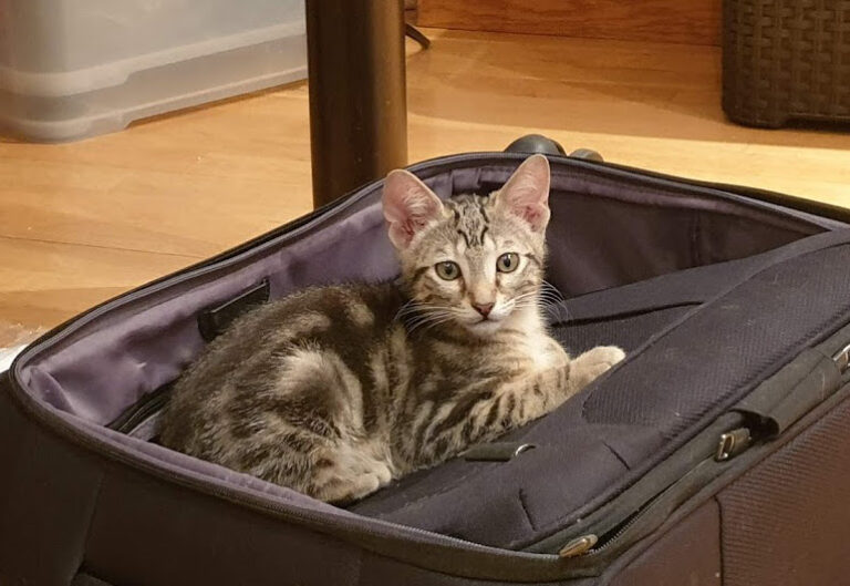 multimedia-foto67717-92-1