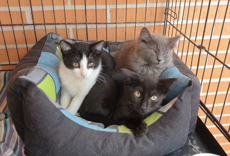 multimedia-foto67733-191-1