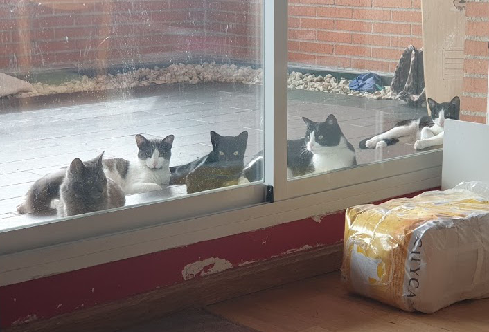 multimedia-foto67736-192-1