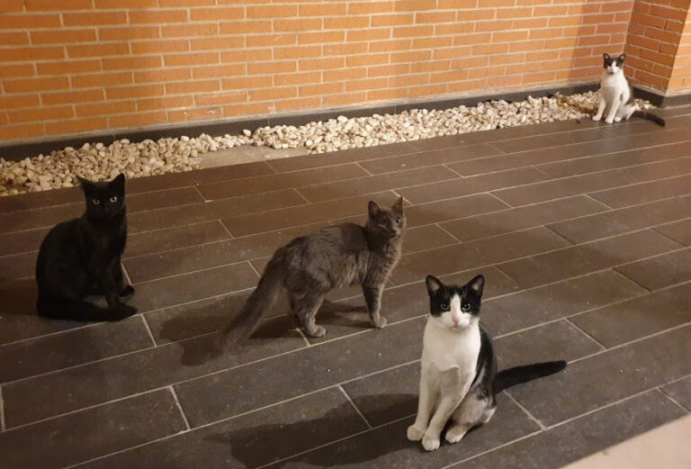 multimedia-foto67737-193-1