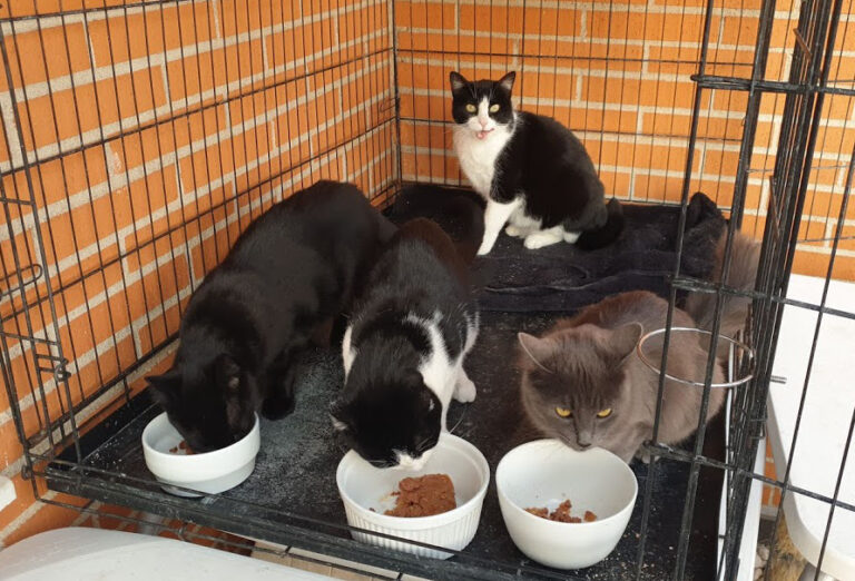 multimedia-foto67738-193-1