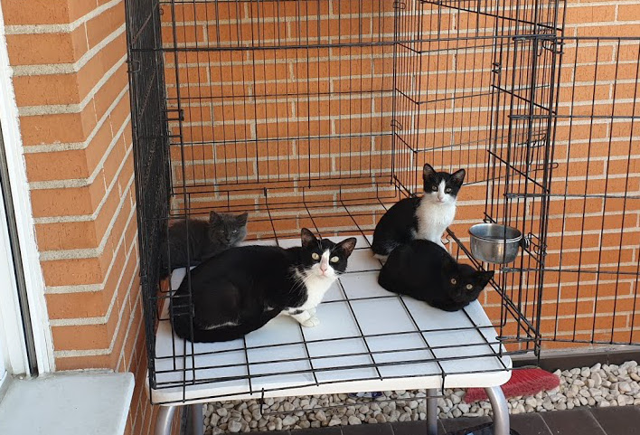 multimedia-foto67743-196-1