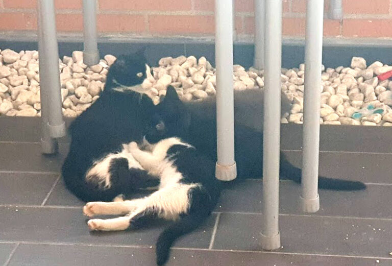 multimedia-foto67744-196-1