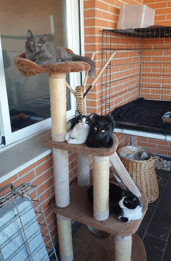 multimedia-foto67866-555-1