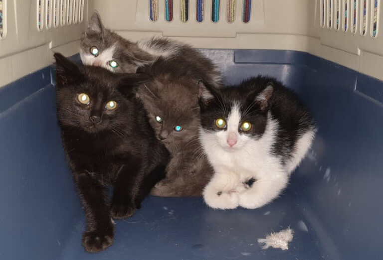 multimedia-foto67871-558-1