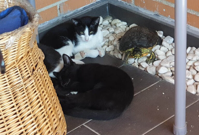 multimedia-foto67872-558-1