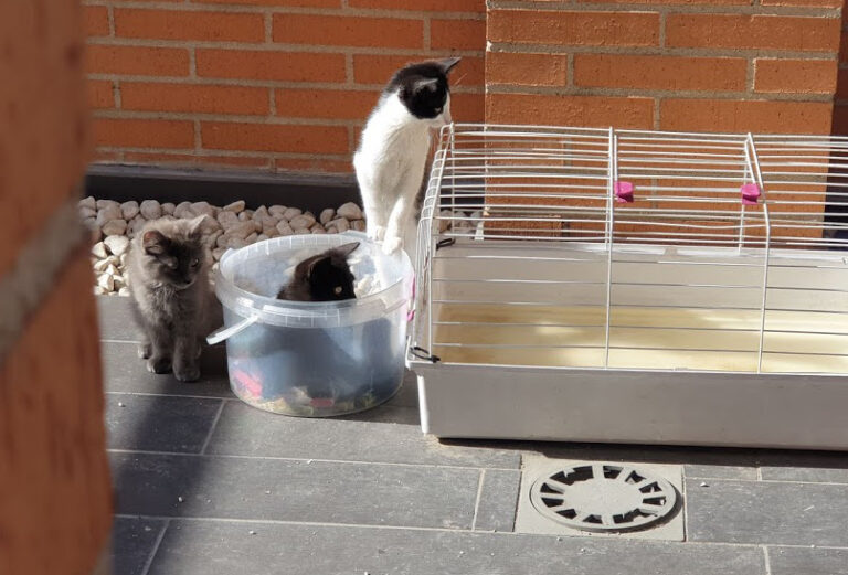 multimedia-foto67873-559-1