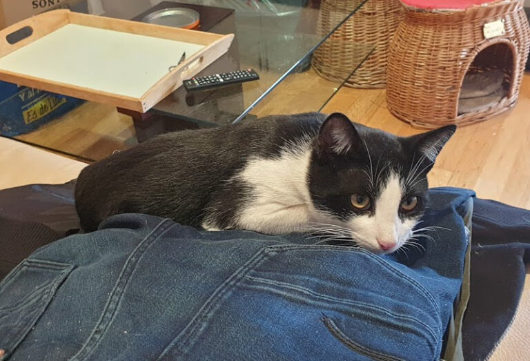 multimedia-foto67896-318-1