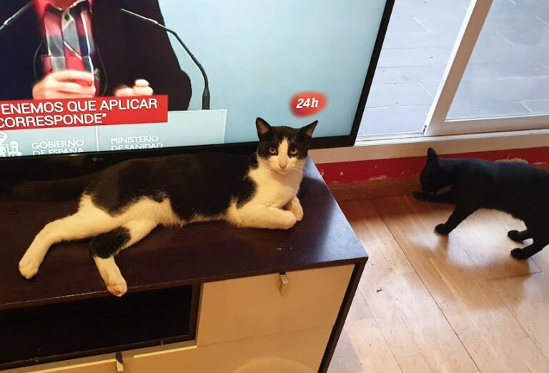 multimedia-foto67897-319-1