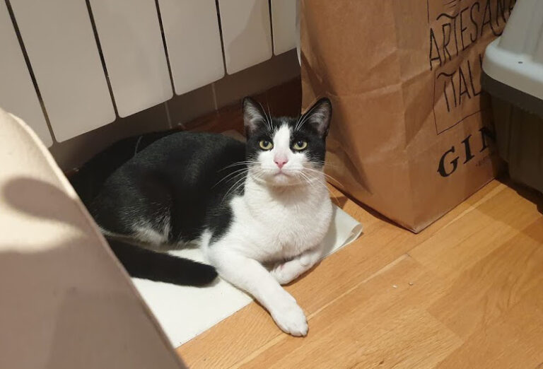 multimedia-foto67898-319-1