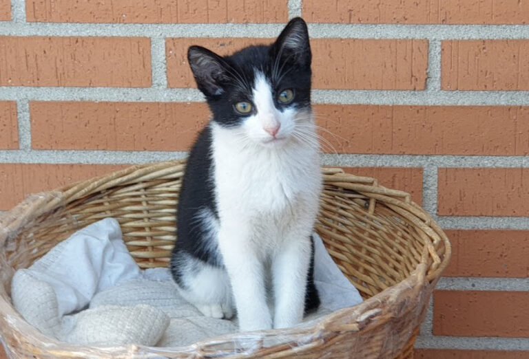 multimedia-foto67899-320-1