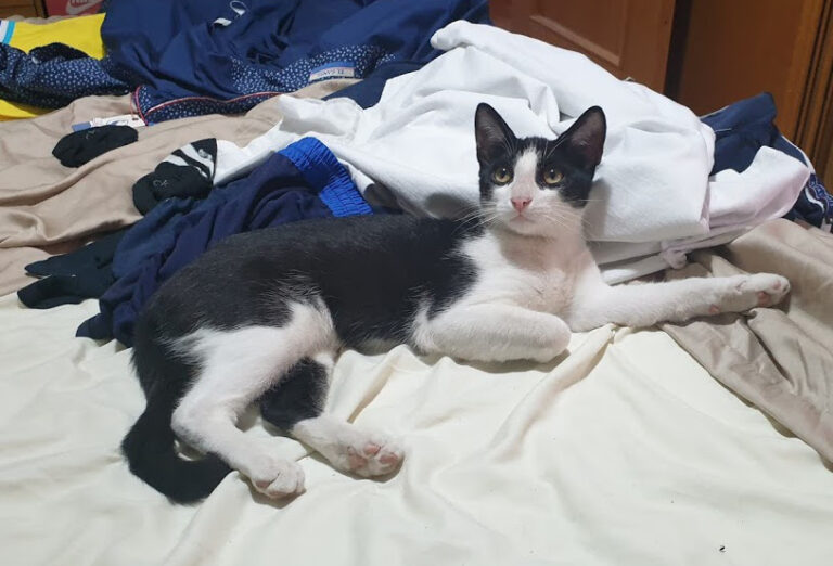 multimedia-foto67900-320-1