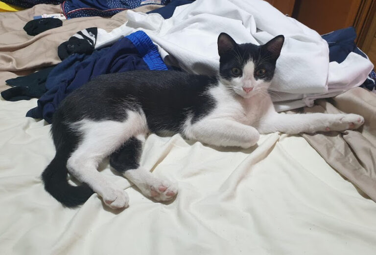 multimedia-foto67901-321-1