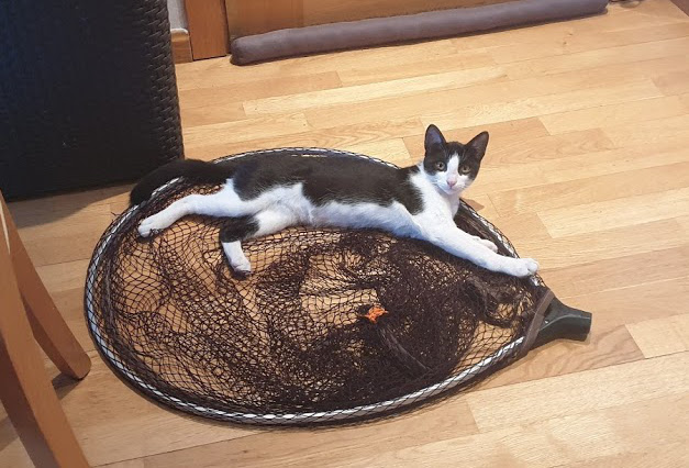 multimedia-foto67902-322-1