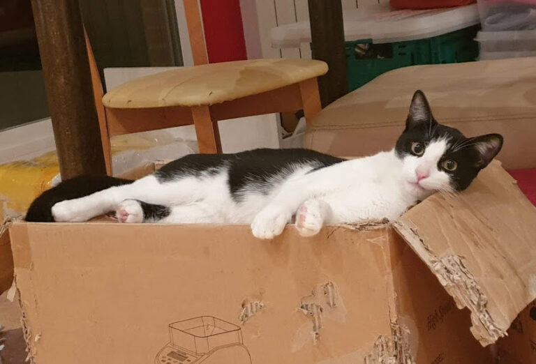 multimedia-foto67903-322-1