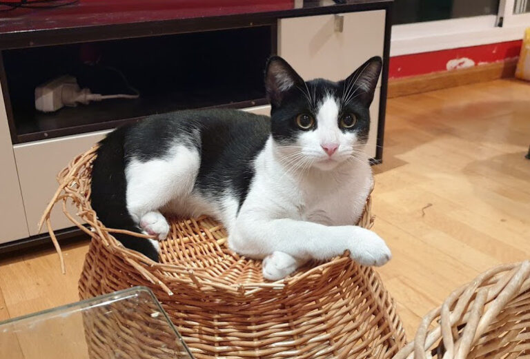 multimedia-foto67904-323-1