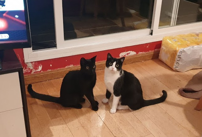 multimedia-foto67905-434-1