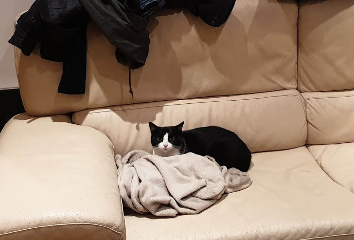 multimedia-foto67906-434-1