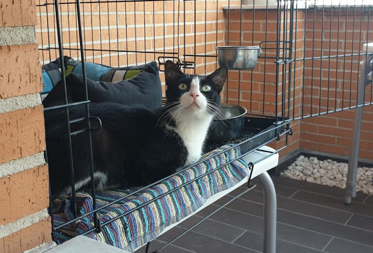 multimedia-foto67907-435-1