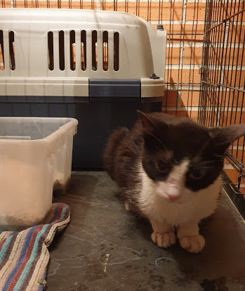 multimedia-foto67908-435-1