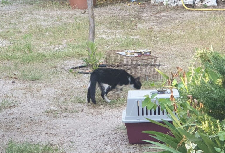 multimedia-foto67909-435-1