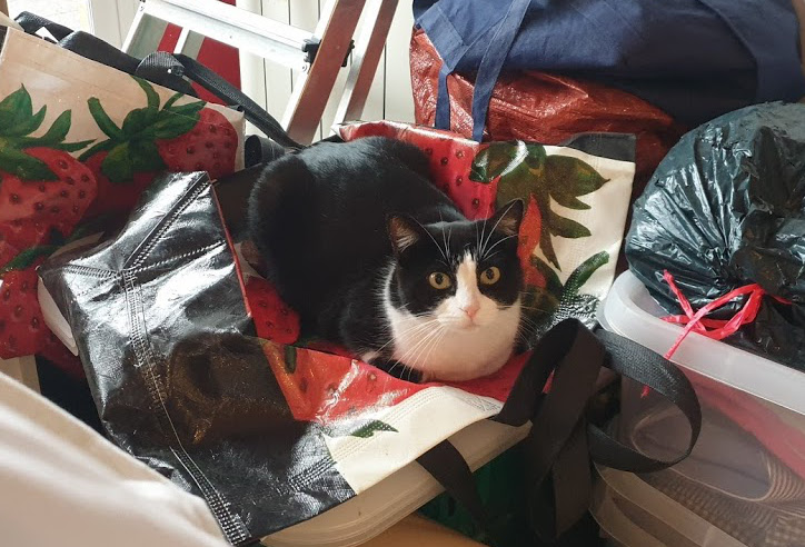 multimedia-foto67910-436-1