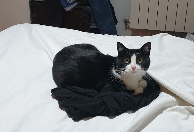 multimedia-foto67911-436-1