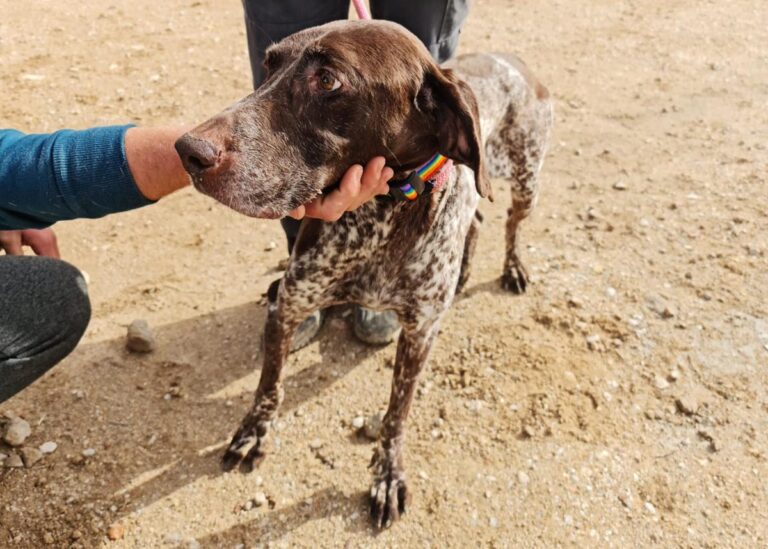 multimedia-foto67924-401-1