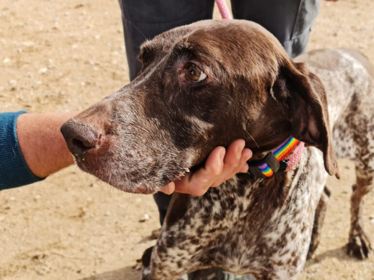 multimedia-foto67925-402-1