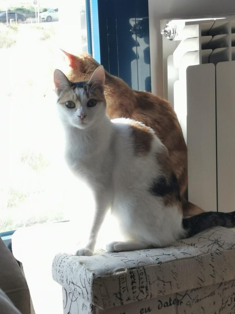 multimedia-foto67937-669-1