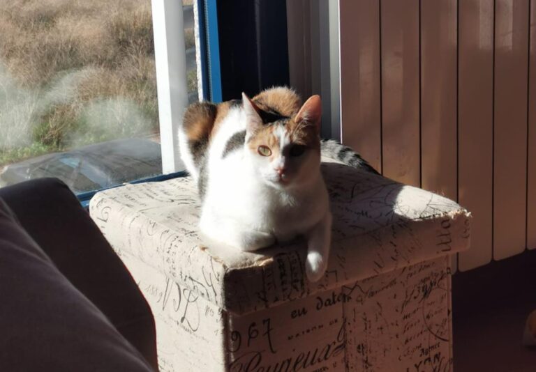 multimedia-foto67940-671-1