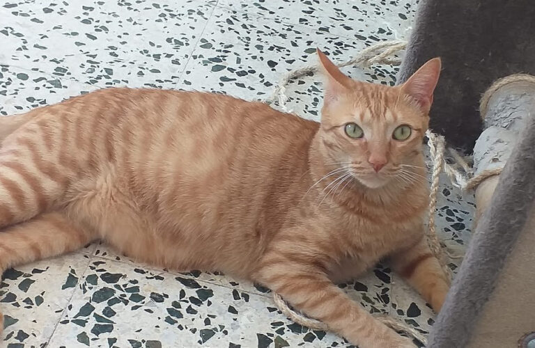 multimedia-foto67957-471-1