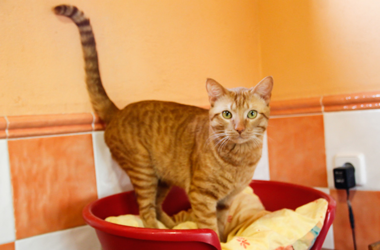 multimedia-foto67959-472-1