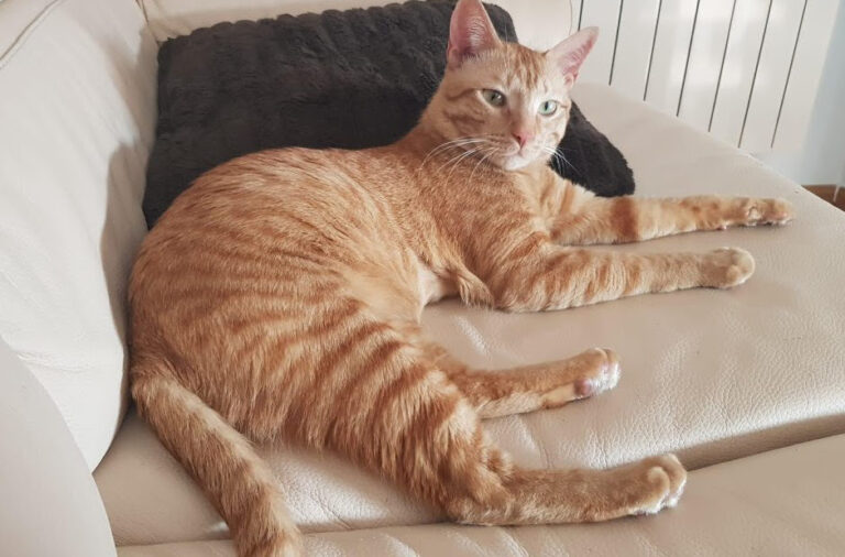 multimedia-foto67961-473-1