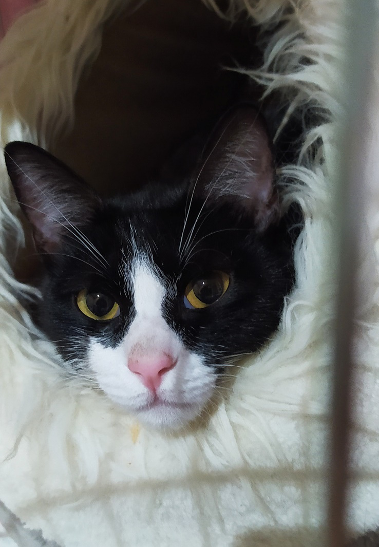 multimedia-foto67975-198-1