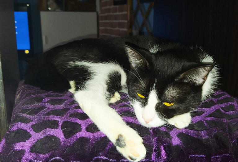 multimedia-foto67977-199-1