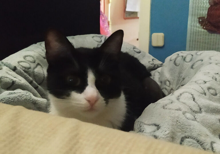 multimedia-foto67978-200-1