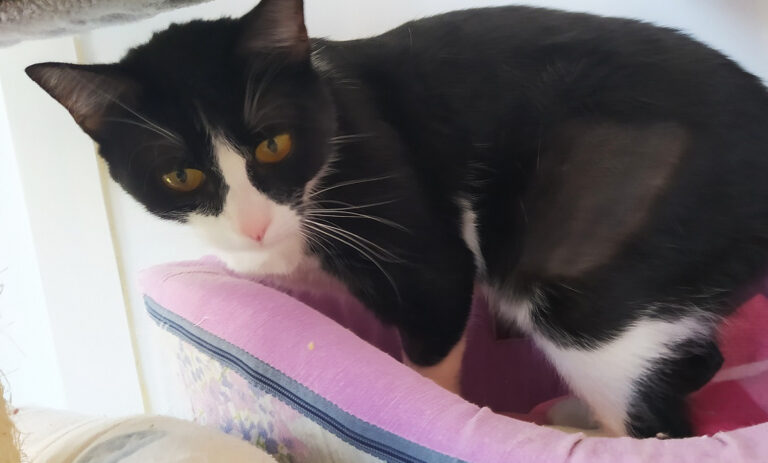 multimedia-foto67979-200-1