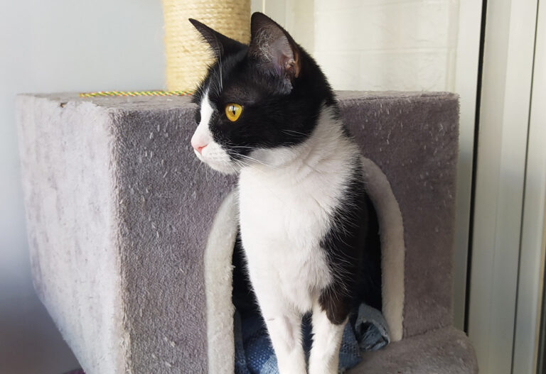 multimedia-foto67980-201-1