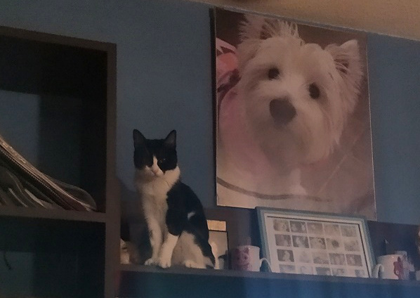 multimedia-foto67981-202-1