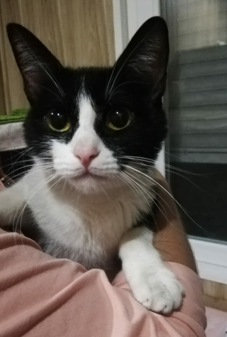 multimedia-foto67982-202-1