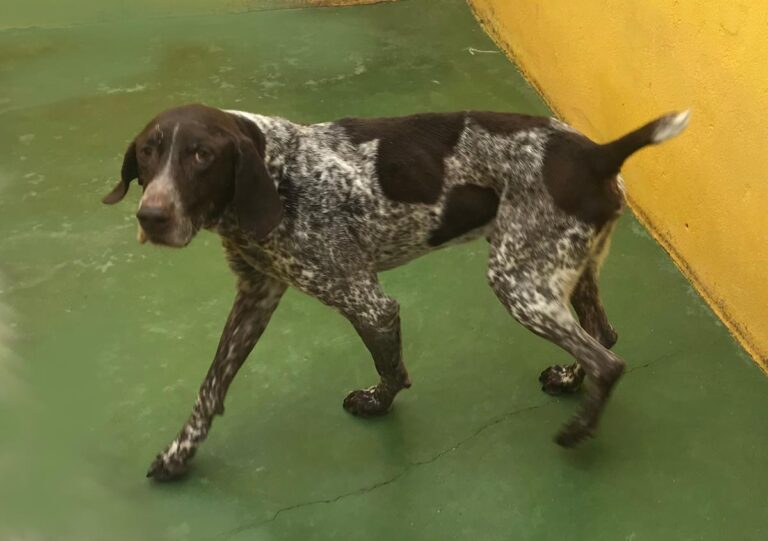 multimedia-foto67983-429-1