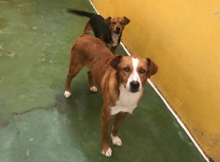 multimedia-foto67984-292-1