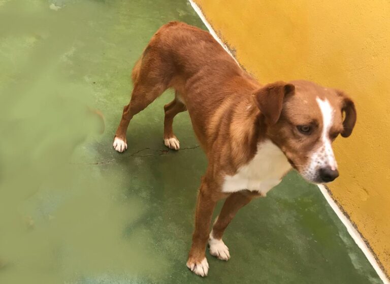 multimedia-foto67985-293-1