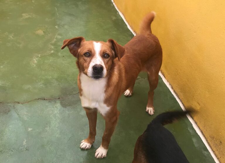 multimedia-foto67986-293-1